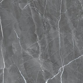 Dlažba Armani Grey 60x60 R