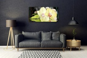 Skleneny obraz Okvetné plátky orchidea 140x70 cm