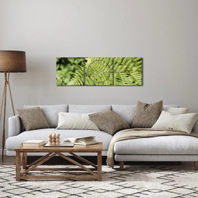 Obraz - Papradinový list (s hodinami) (90x30 cm)