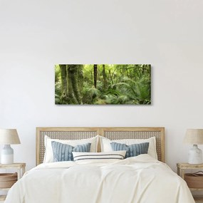 Obraz Tropický dažďový prales (120x50 cm)