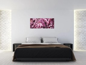 Obraz - Ružová sakura (120x50 cm)