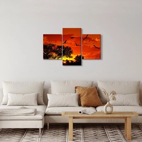 Obraz vtákov pri západe slnka (90x60 cm)