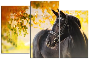 Obraz na plátne - Čierny kôň 1220C (120x80 cm)