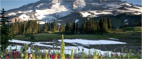 Obraz - Mount Rainier (120x50 cm)
