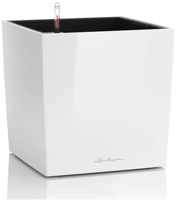 Lechuza Cube Premium All inclusive set wthite high-gloss 30x30x30cm