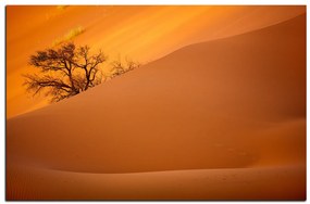 Obraz na plátne - Červené piesočné duny 1133A (120x80 cm)