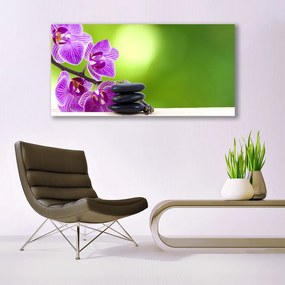 Obraz plexi Kvet kamene rastlina 120x60 cm