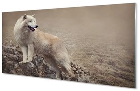 Sklenený obraz vlk hory 125x50 cm
