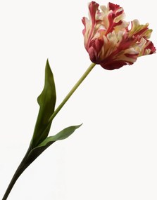Rastlinná dekorácia Tulip