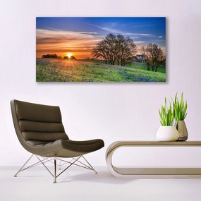 Obraz plexi Lúka slnko krajina 120x60 cm