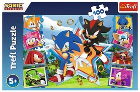 Trefl Puzzle Sonic Zoznámte sa s ježkom, 100 dielikov