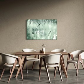 Obraz - Zelená lúka (90x60 cm)