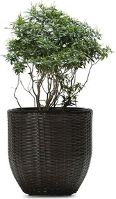 Kvetináč LILY hnedá