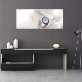 Obraz - Mačka s modrými očami (120x50 cm)