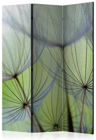 Artgeist Paraván - Fleeting moments [Room Dividers]
