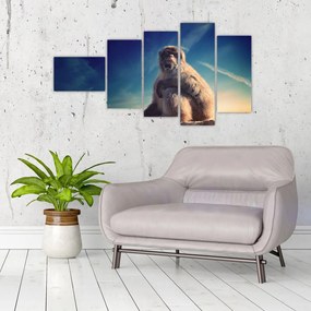 Obraz opice - obrazy zvierat