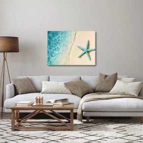 Obraz - Hviezdica na pláži (70x50 cm)