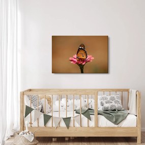 Obraz motýľa na kvetine (90x60 cm)