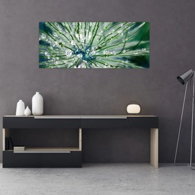Obraz - Makro snímka kvetu (120x50 cm)