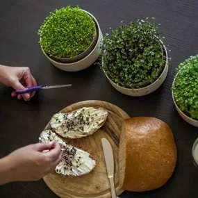 Plastia Microgreens, slonová kosť s kávovou usadeninou