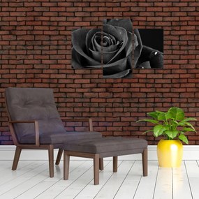 Obraz - Červená ruža (90x60 cm)