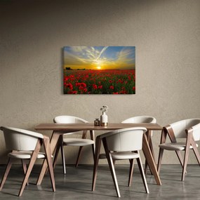 braz poľa vlčích makov (90x60 cm)