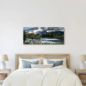 Obraz - Mount Rainier (120x50 cm)