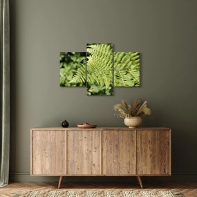 Obraz - Papradinový list (90x60 cm)