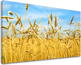 Obraz na stenu RASTLINY