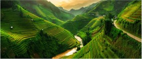 Obraz - Ryžové terasy Mu Cang Chai (120x50 cm)