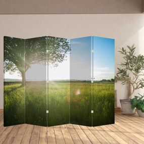 Paraván - Letná lúka (210x170 cm)