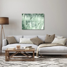 Sklenený obraz - Zelená lúka (70x50 cm)