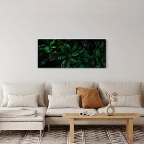 Obraz - Tropické papradie (120x50 cm)