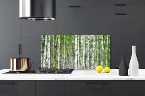 Nástenný panel  Breza les stromy príroda 125x50 cm