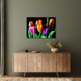 Sklenený obraz tulipánov na čiernom pozadí (70x50 cm)