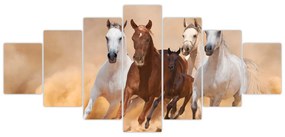 Obrazy bežiacich koní