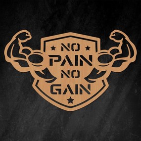 DUBLEZ | Motivačný obraz - No Pain No Gain