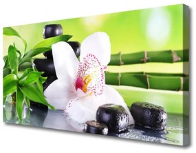 Obraz Canvas Orchidea kamene zen bambus 140x70 cm