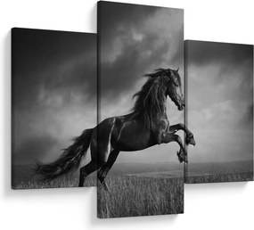 Obraz - Kôň čiernobiely (90x60 cm)