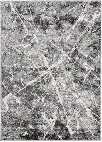 Koberce Breno Kusový koberec VICTORIA 8055 - 0644, sivá, viacfarebná,120 x 170 cm