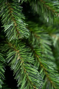 Limpol Vianočný stromček horský smrek 1,50 m