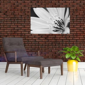 Obraz - Čiernobiely kvet (90x60 cm)