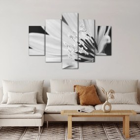 Obraz - Čiernobiely kvet (150x105 cm)