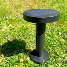 Zuma Line DT33611 - LED Solárna lampa CARLI LED/2W/2000 mAh IP44 čierna