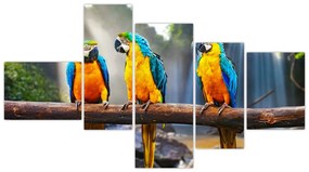 Obraz - papagáje