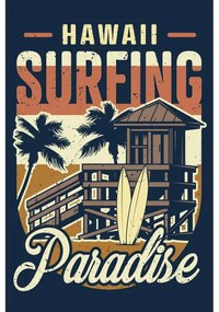 Ceduľa Hawaii Surfing Paradise