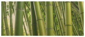 Drevenné obrazy Bambusová trstina