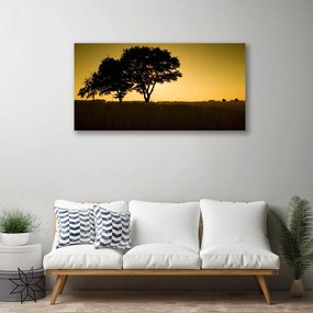 Obraz na plátne Stromy príroda rastlina 140x70 cm