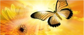 Obraz - Žltý motýľ s kvetom (120x50 cm)