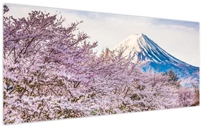Obraz - Japonsko na jar (120x50 cm)